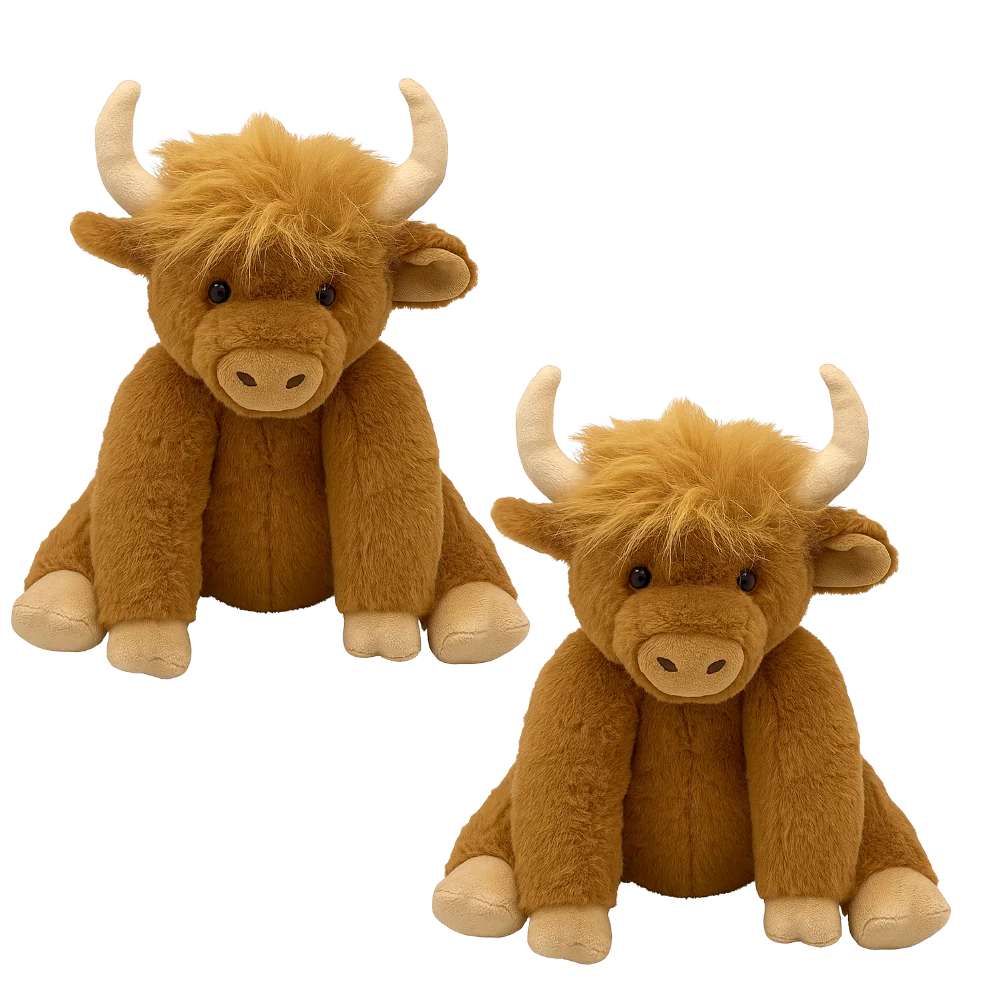 2x Highland Cow